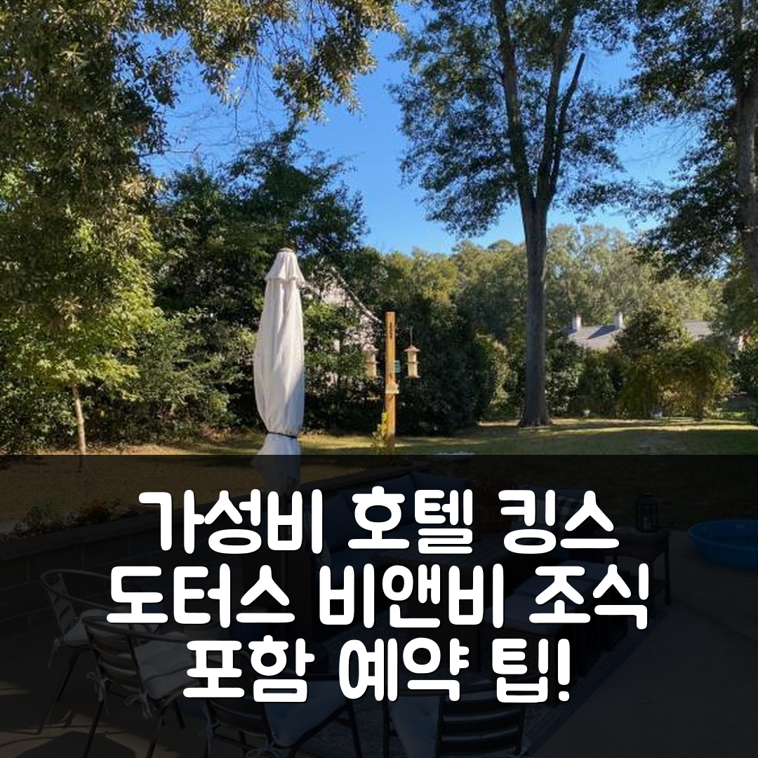 나체스 숙소 여행 호텔 추천 더 킹스 도터스 비앤비 온 더 블러프 | 조식과 가성비 뛰어난 위치 및 예약 팁 7가지