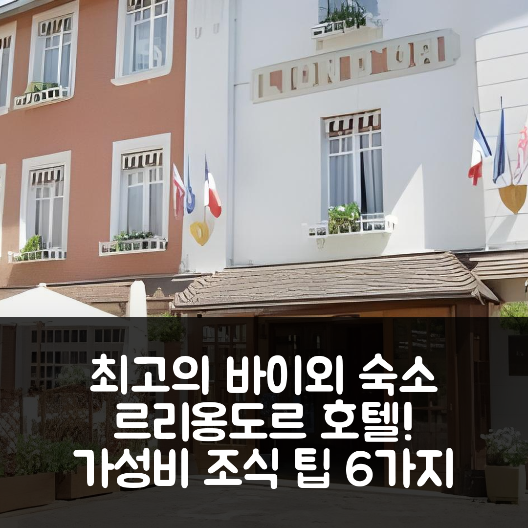바이외 숙소 여행 호텔 추천 르리옹도르 호텔 | 가성비 뛰어난 조식과 위치 정보 6가지 팁