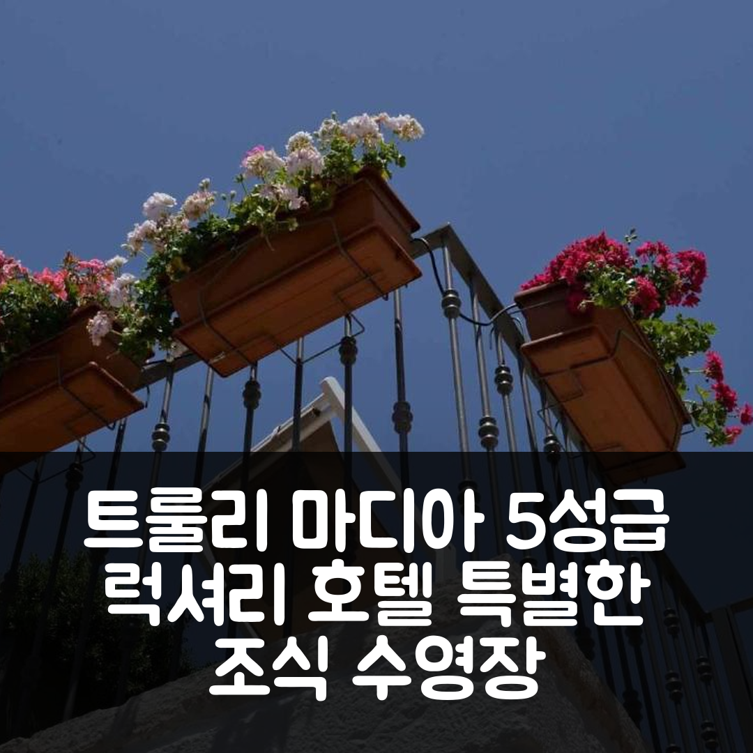 알베로벨로 숙소 여행 호텔 추천 트룰리 마디아 럭셔리 로케이션 | 5성급 조식과 수영장으로 즐기는 특별한 경험 7가지