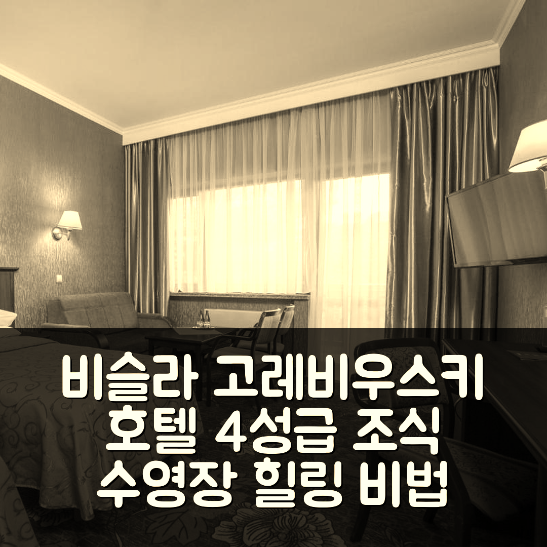 비슬라 숙소 여행 호텔 추천 고레비우스키 호텔 | 4성급 조식과 수영장으로 즐기는 힐링 7가지 비법