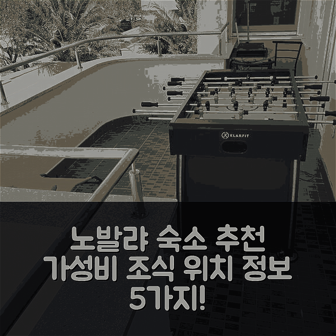 노발랴 숙소 여행 호텔 추천 아파트 노발랴 4 2 | 가성비 뛰어난 조식과 위치 정보 5가지