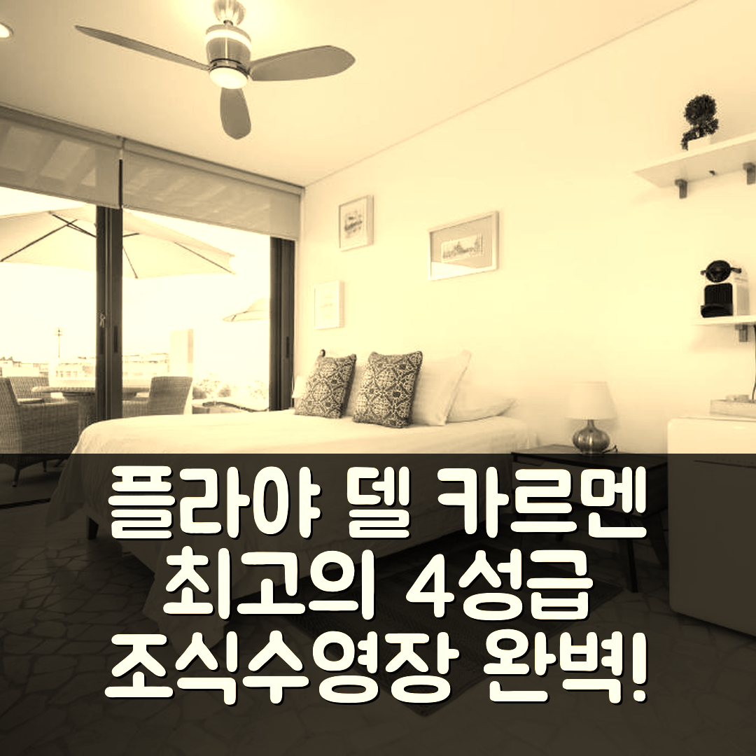 플라야 델 카르멘 숙소 여행 호텔 추천 힐링 루프 테라스 | 가성비 최고 4성급 조식과 수영장 5가지 장점