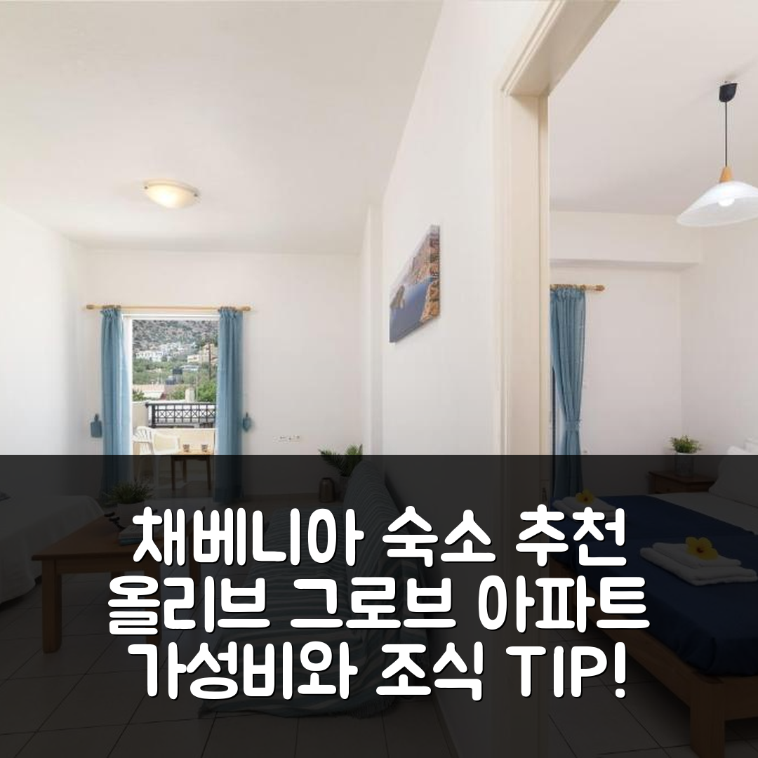 채베니아 숙소 여행 호텔 추천 올리브 그로브 아파트먼트 | 조식과 가성비 뛰어난 5가지 예약 팁