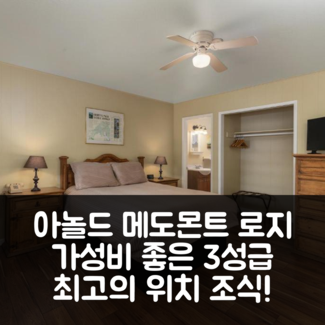 아놀드 숙소 여행 호텔 추천 아널드 메도몬트 로지 | 가성비 뛰어난 3성급 위치와 조식 정보 5가지