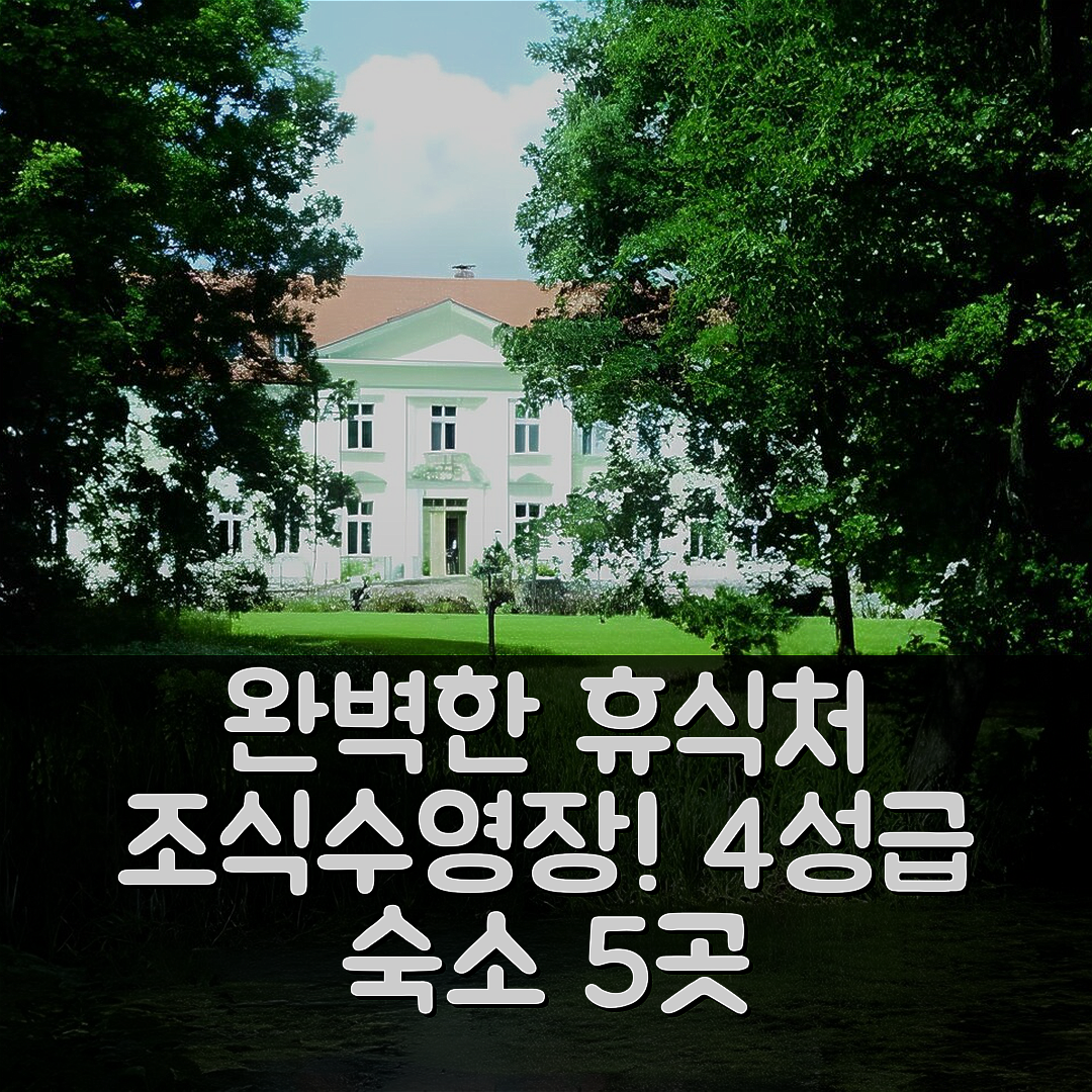 쇼르소브 숙소 여행 호텔 추천 시쉐흐로스 쵸르소브 | 4성급 조식과 수영장으로 완벽한 휴식처 5가지