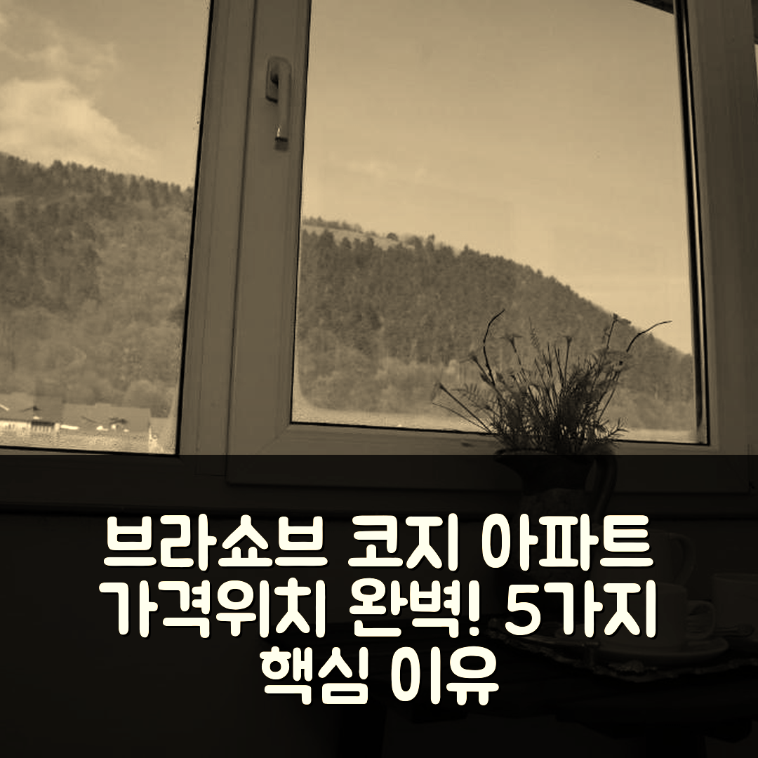 브라쇼브 숙소 여행 코지 아파트먼트 | 가격과 위치 완벽한 5가지 이유