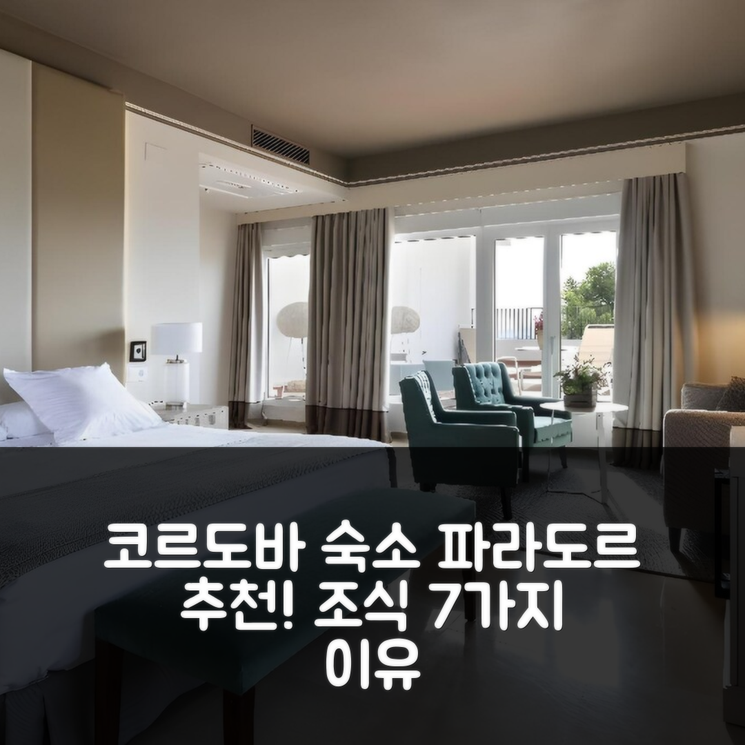코르도바 숙소 여행 호텔 추천 파라도르 데 코르도바 | 아름다운 위치와 가성비 뛰어난 조식 7가지 이유