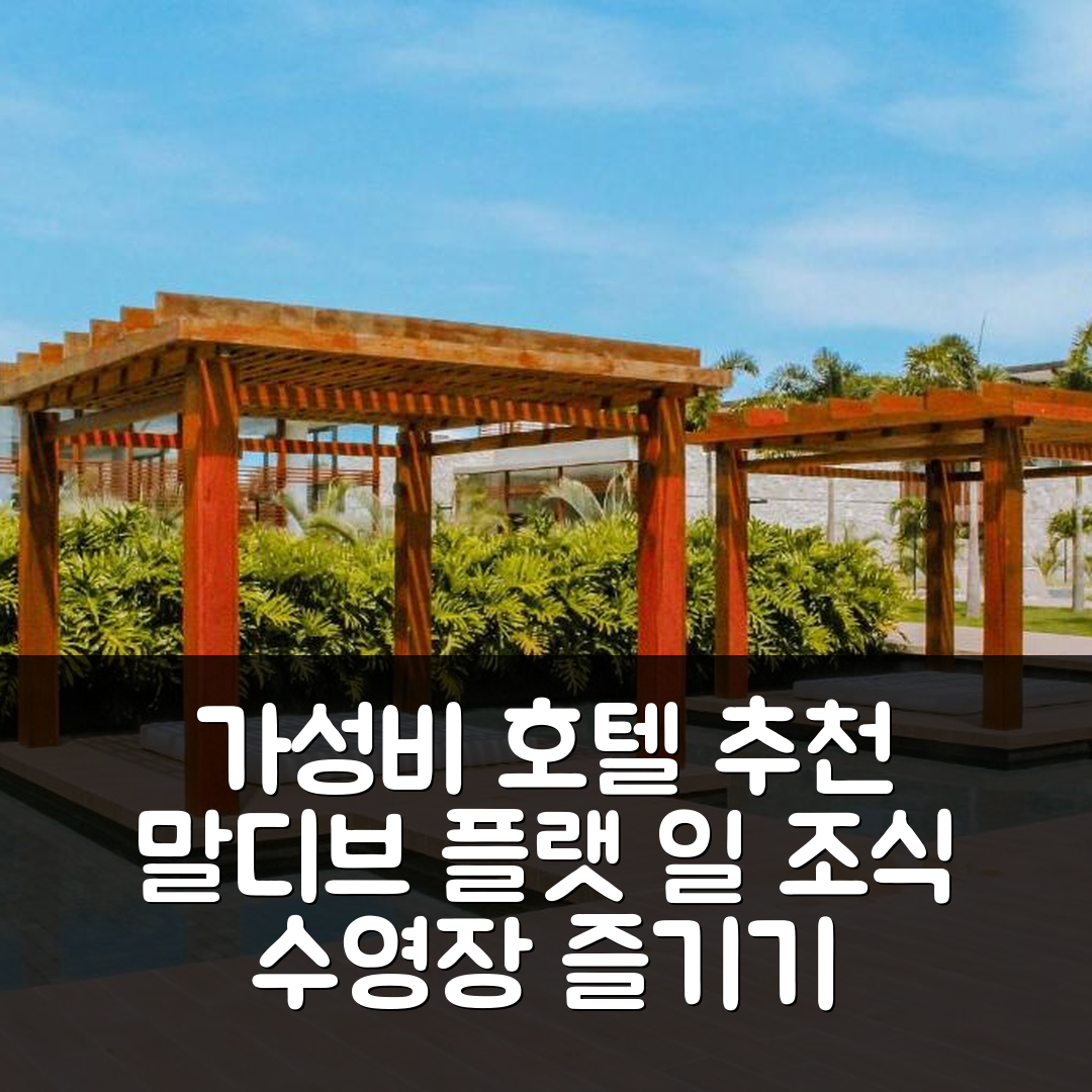 티바우두술 숙소 여행 호텔 추천 플랫 일 드 피파 덱 몰하도 말디바스 | 조식과 수영장으로 즐기는 가성비 좋은 7가지 팁