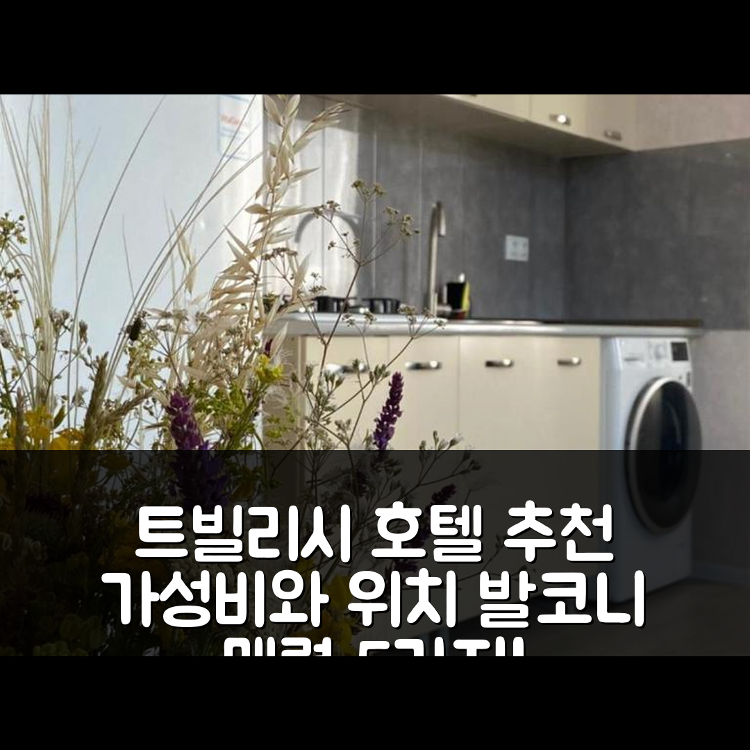 트빌리시 숙소 여행 호텔 추천 니카스 아파트먼트 | 가성비 뛰어난 위치와 발코니의 매력 5가지