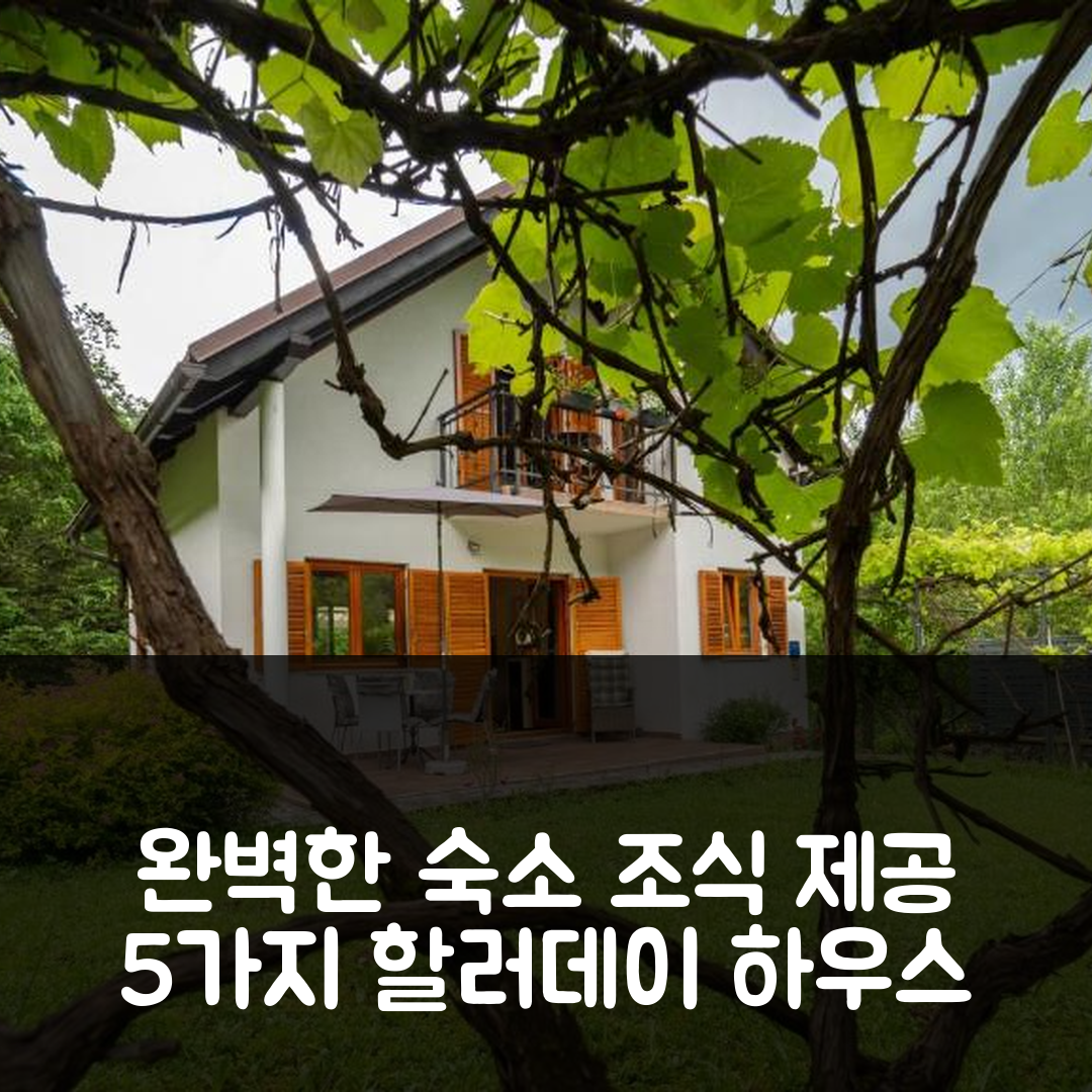 브로드 나 쿠피 숙소 여행 호텔 할러데이 하우스 카이페스 | 가격과 위치가 완벽한 조식 제공 5가지 이유
