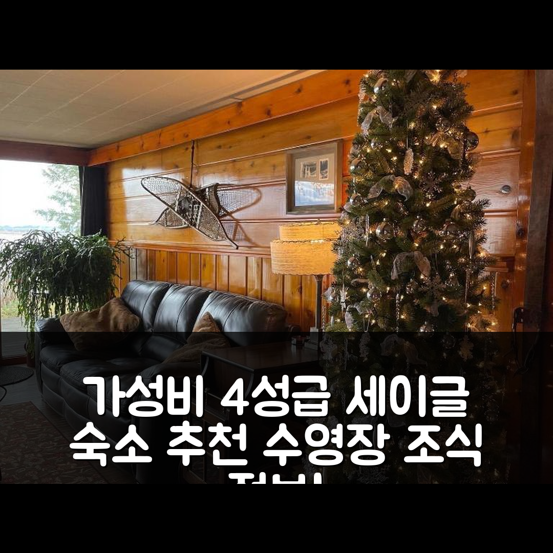 세이글 숙소 여행 호텔 추천 슬립스 캐빈스 | 가성비 뛰어난 4성급 조식과 수영장 정보 7가지