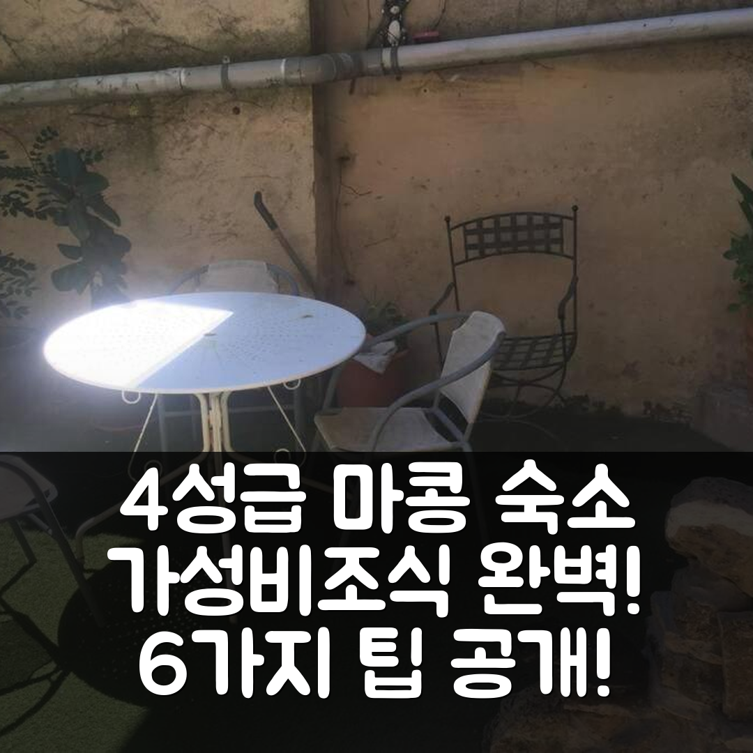 마콩 숙소 여행 호텔 추천 메종 아파트 뒤 몽 줄리 | 4성급 가성비와 조식 위치 확인할 6가지 팁