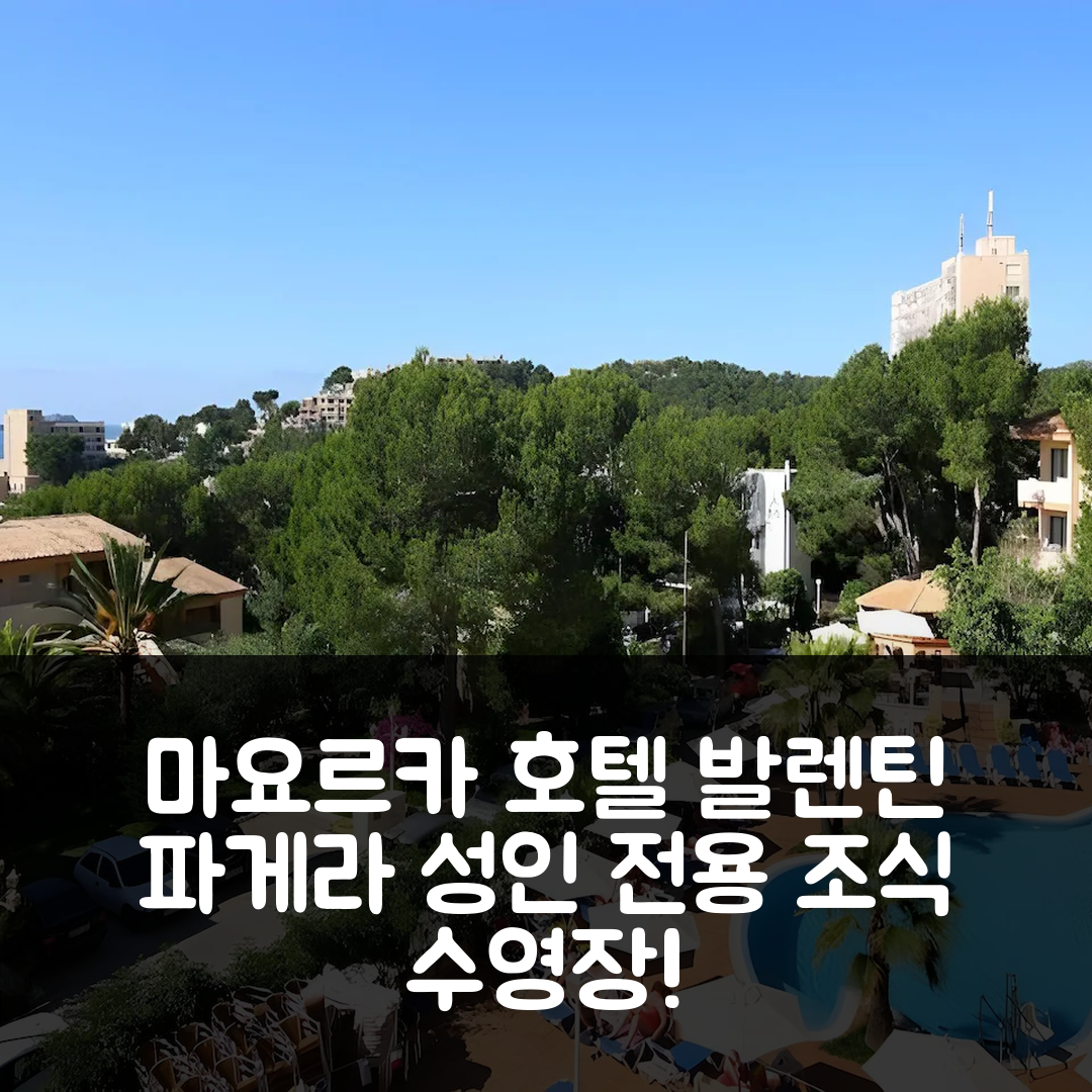 마요르카 숙소 여행 호텔 추천 발렌틴 파게라 호텔 | 성인 전용의 조식과 수영장이 매력적인 7가지 이유