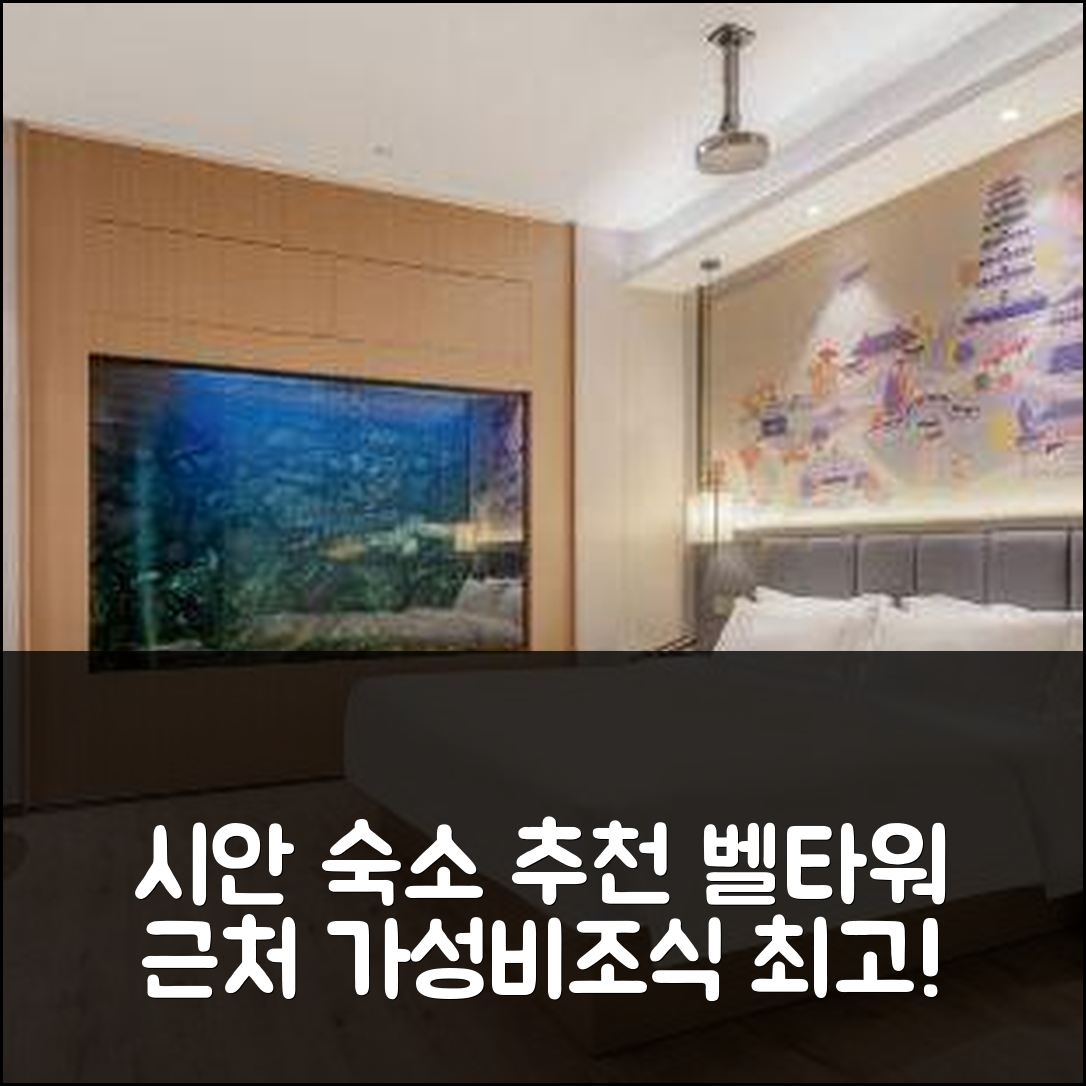 시안 숙소 여행 호텔 추천 시안 벨타워 지하철역 동쪽 거리 | 가성비와 조식 좋은 5가지 이유