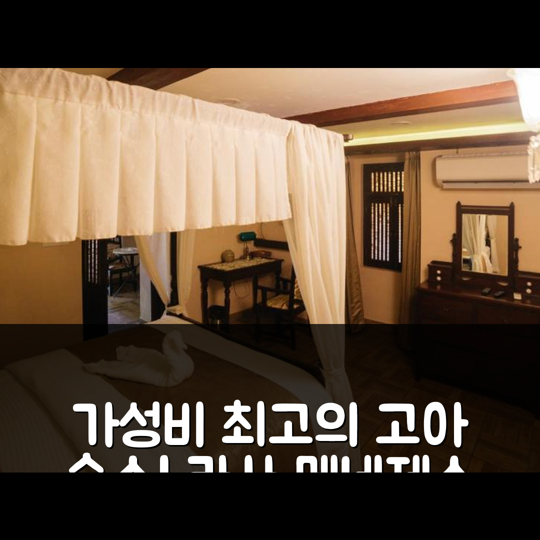 고아 숙소 여행 호텔 추천 카사 메네제스 | 보증금 없는 가성비와 조식이 매력적인 7가지 이유
