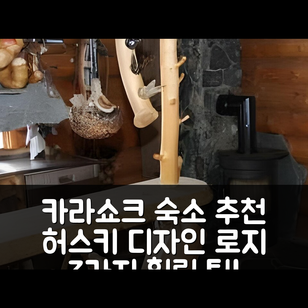 카라쇼크 숙소 여행 호텔 추천 엥골름 허스키 디자인 로지 | 3가지 가성비와 조식으로 완벽한 힐링 장소 7가지 팁